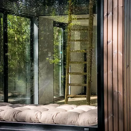 Kaszuby Tree House Feriested