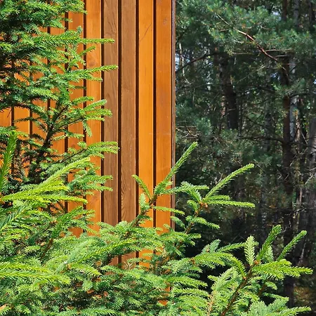 Feriested Kaszuby Tree House Skorzewo (Koscierzyna)