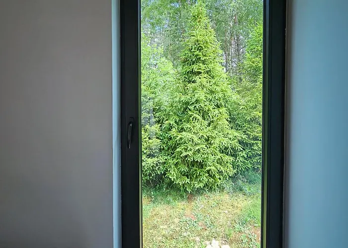 Kaszuby Tree House Rezort *