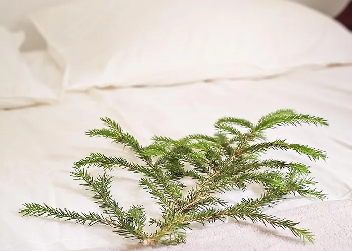 Rezort Kaszuby Tree House Skorzewo (Koscierzyna)