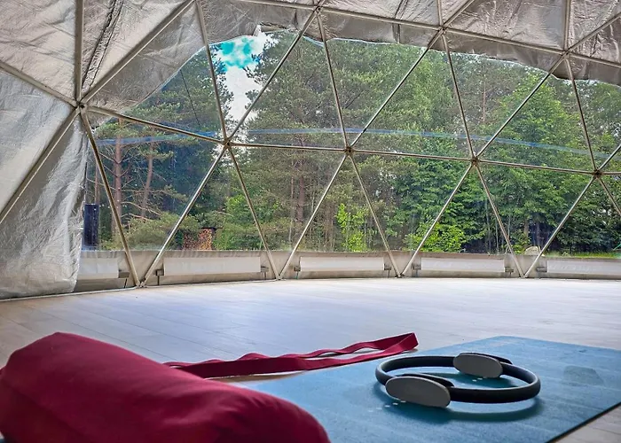 Rezort Kaszuby Tree House