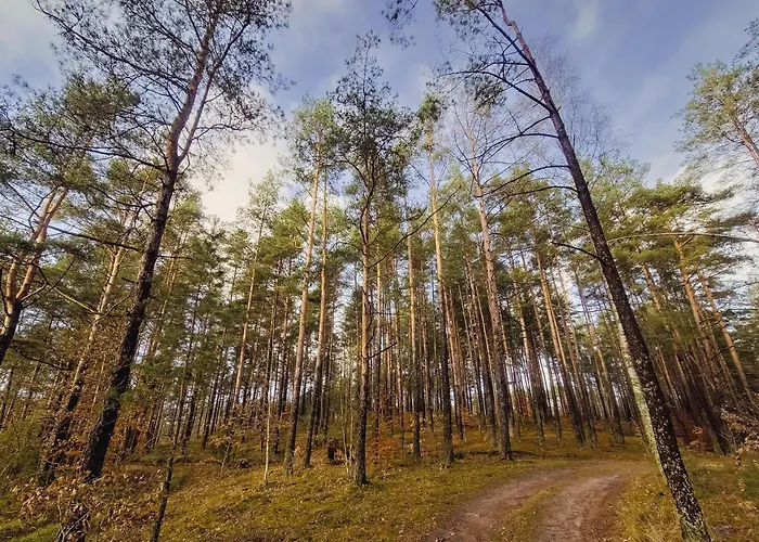 Kaszuby Tree House *