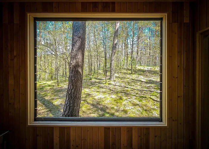 Rezort Kaszuby Tree House *