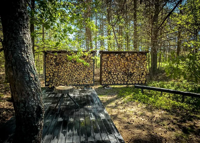 Kaszuby Tree House *